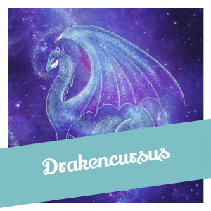 Cursus werken met Draken