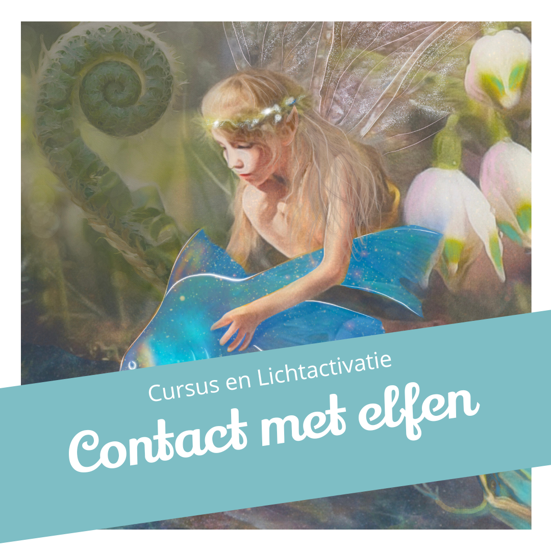Cursus & Lichtactivatie Contact met Elfen